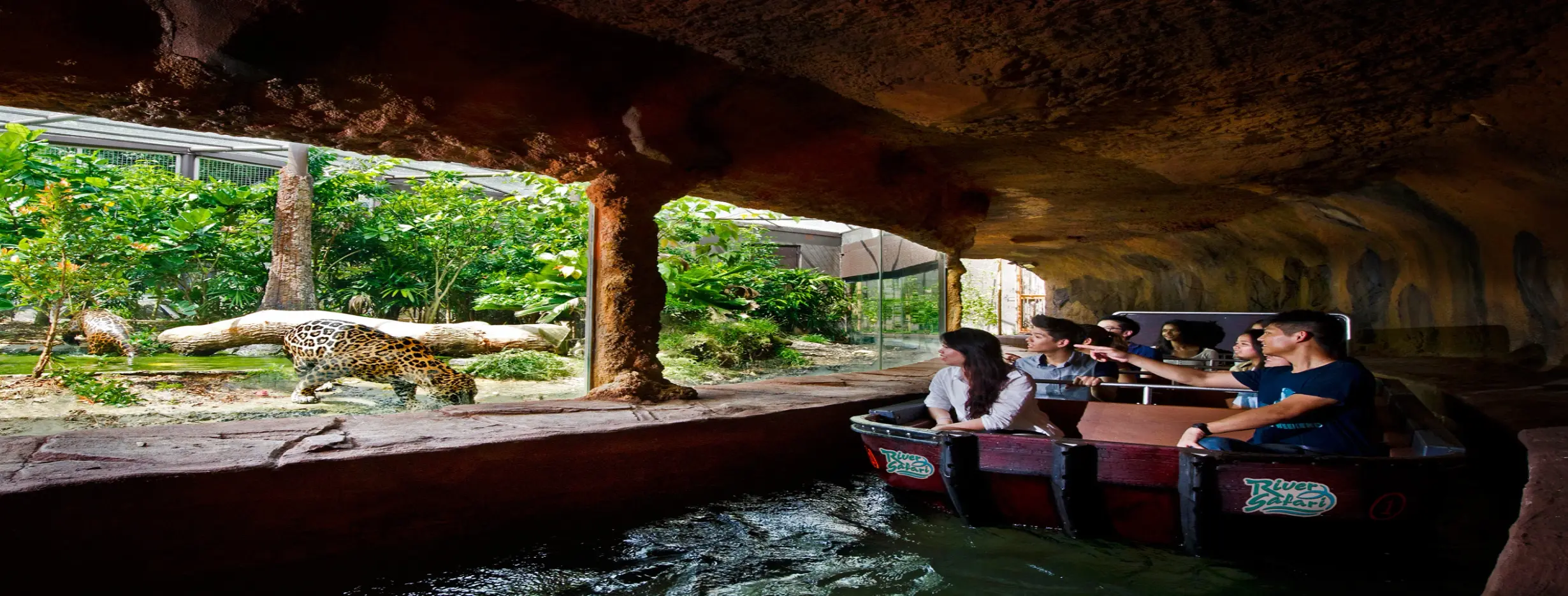 Image for River Safari